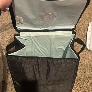 thirty-one Gray Travel Cooler Bag with Light Blue Interior